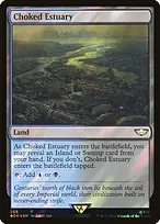 Choked Estuary