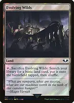 Evolving Wilds