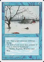 Flood