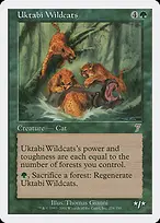 Uktabi Wildcats