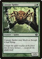 Canopy Spider