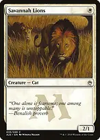 Savannah Lions