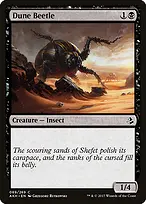 Dune Beetle