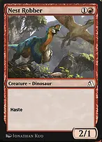 Nest Robber
