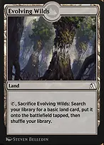 Evolving Wilds
