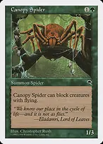 Canopy Spider