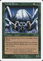 Woolly Spider