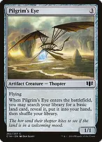 Pilgrim's Eye