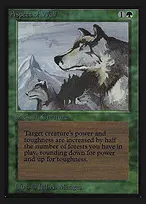 Aspect of Wolf