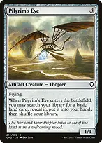 Pilgrim's Eye