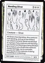Banding Sliver
