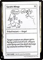 Sarah's Wings