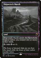 Shipwreck Marsh