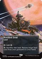 Petrified Field