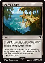 Evolving Wilds