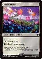 Sunlit Marsh