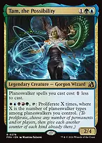 Tam, the Possibility