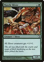 Muscle Sliver
