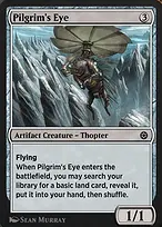Pilgrim's Eye