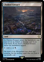 Choked Estuary