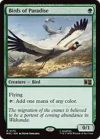 Birds of Paradise