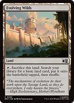 Evolving Wilds