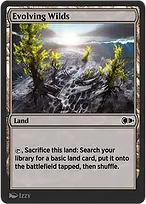 Evolving Wilds