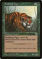 Stalking Tiger