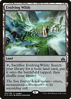Evolving Wilds