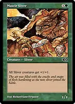 Muscle Sliver