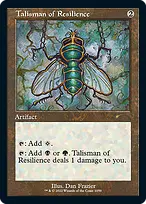 Talisman of Resilience