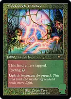 Sheltered Thicket