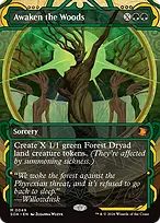 Awaken the Woods