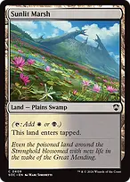 Sunlit Marsh