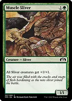 Muscle Sliver