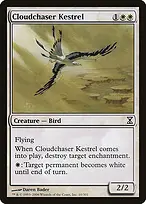 Cloudchaser Kestrel