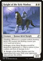 Knight of the Holy Nimbus