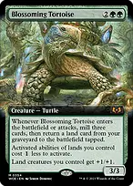 Blossoming Tortoise