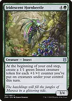 Iridescent Hornbeetle